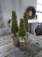 Picture of Kerstboom mos 38 cm