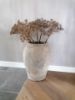 Picture of Berenklauwen 100 cm kunst