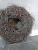 Picture of Wortel krans bruin white wash 50 cm