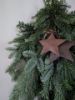 Picture of Kerst toef Nobilis met roestige sterren