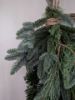Picture of Kerst toef Nobilis & Pinus
