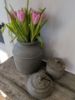 Picture of Pot | 001 | Elephant Collection