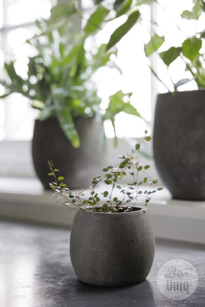 Picture of Pot Foss | 12,5 cm | Elephant Collection