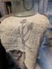 Picture of Shabby doek blauwe druif