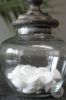 Picture of Glaspot Arnhem | Small | Glass Collection